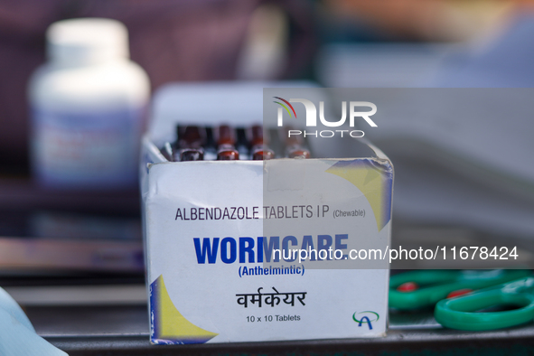 De-worming capsules are pictured at a health center in Kathmandu, Nepal, on October 18, 2024. 