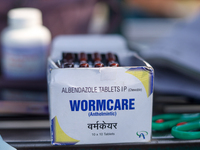 De-worming capsules are pictured at a health center in Kathmandu, Nepal, on October 18, 2024. (