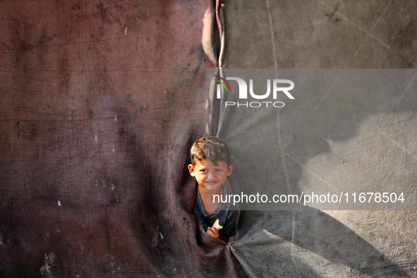 A Palestinian boy peeks from inside a tent at a makeshift camp for the internally displaced in Deir al-Balah in the central Gaza Strip on Oc...