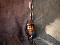 A Palestinian boy peeks from inside a tent at a makeshift camp for the internally displaced in Deir al-Balah in the central Gaza Strip on Oc...