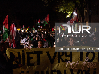 On Thursday, October 17, 2024, a protest in support of Palestine took place in Utrecht, marking one year since a large demonstration occurre...