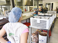 Lebanese volunteers prepare food portions for displaced people at Father Hani Tawk's charitable facility, Mariam's Kitchen, in Beirut, Leban...