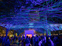 Spectators are seen during a light exhibit at the 2024 Blink Art and Light Festival in Cincinnati, Ohio, on October 18, 2024. (