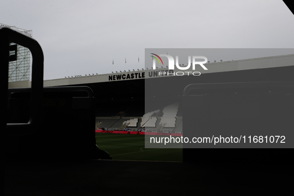 A general view of St James' Park during the Premier League match between Newcastle United and Brighton and Hove Albion at St. James's Park i...