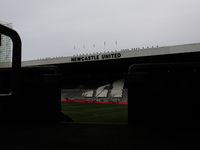 A general view of St James' Park during the Premier League match between Newcastle United and Brighton and Hove Albion at St. James's Park i...