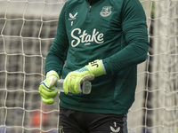 Jordan Pickford of Everton warms up before the Premier League match between Ipswich Town and Everton at Portman Road in Ipswich, England, on...