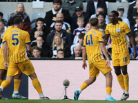 Danny Welbeck celebrates Brighton and Hove Albion's opening goal during the Premier League match between Newcastle United and Brighton and H...