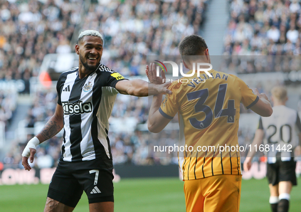 Newcastle United's Joelinton pushes Brighton and Hove Albion's Joel Veltman during the Premier League match between Newcastle United and Bri...