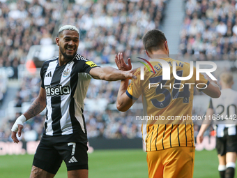 Newcastle United's Joelinton pushes Brighton and Hove Albion's Joel Veltman during the Premier League match between Newcastle United and Bri...