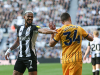 Newcastle United's Joelinton pushes Brighton and Hove Albion's Joel Veltman during the Premier League match between Newcastle United and Bri...