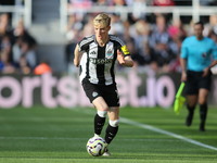 Anthony Gordon of Newcastle United participates in the Premier League match between Newcastle United and Brighton and Hove Albion at St. Jam...