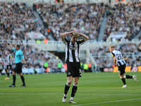 Anthony Gordon of Newcastle United holds his head in frustration during the Premier League match between Newcastle United and Brighton and H...