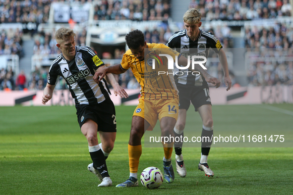 Lewis Hall and Anthony Gordon of Newcastle United close down Georginio Rutter of Brighton and Hove Albion during the Premier League match be...