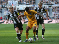 Lewis Hall and Anthony Gordon of Newcastle United close down Georginio Rutter of Brighton and Hove Albion during the Premier League match be...