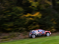 Driver Nikolay Gryazin and co-driver Konstantin Aleksandrov of the team AEC - DG Sport Competition Citroen C3 face the third day of the race...