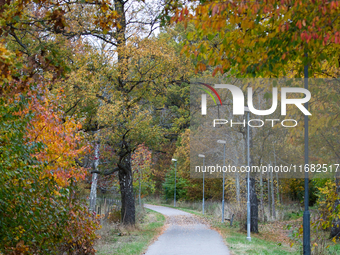 The picture shows trees changing color and preparing for winter in Slaka, Linkoping, Sweden, on October 18, 2024. (