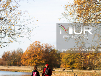 The picture shows trees changing color and preparing for winter in the Tinnero oak landscape in Linkoping, Sweden, on October 19, 2024. (