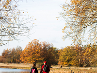 The picture shows trees changing color and preparing for winter in the Tinnero oak landscape in Linkoping, Sweden, on October 19, 2024. (