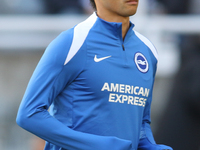 Kaoru Mitoma of Brighton and Hove Albion plays during the Premier League match between Newcastle United and Brighton and Hove Albion at St....