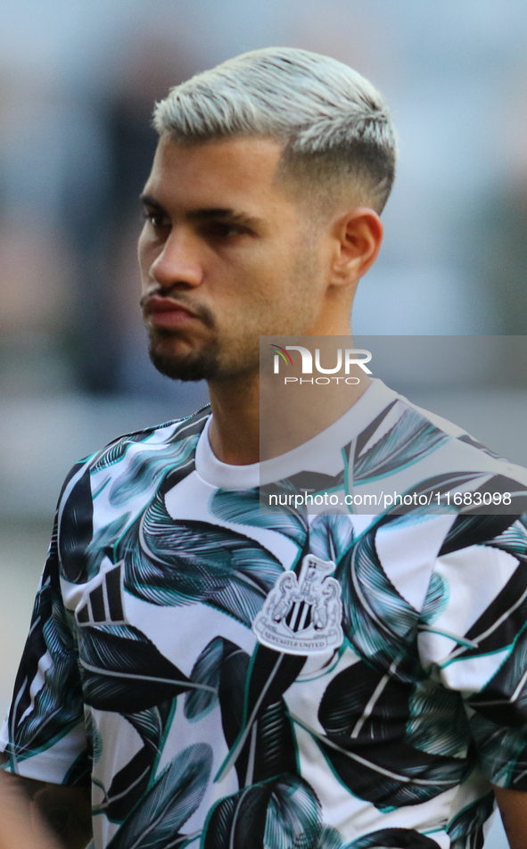 Bruno Guimaraes of Newcastle United plays during the Premier League match between Newcastle United and Brighton and Hove Albion at St. James...