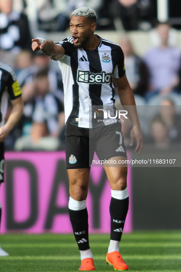 Joelinton of Newcastle United plays during the Premier League match between Newcastle United and Brighton and Hove Albion at St. James's Par...