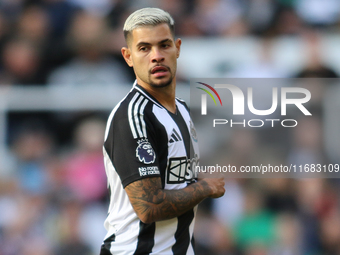 Bruno Guimaraes of Newcastle United plays during the Premier League match between Newcastle United and Brighton and Hove Albion at St. James...