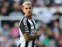 Bruno Guimaraes of Newcastle United plays during the Premier League match between Newcastle United and Brighton and Hove Albion at St. James...