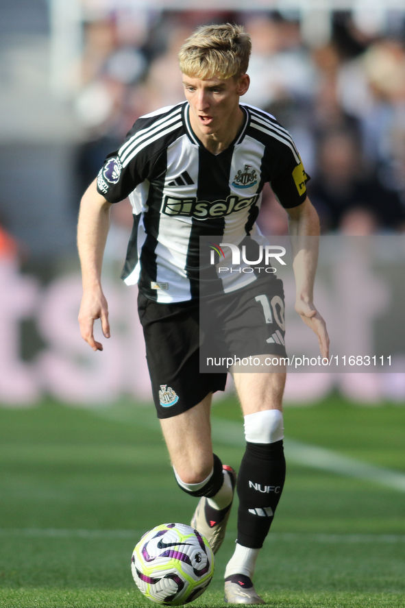 Anthony Gordon of Newcastle United participates in the Premier League match between Newcastle United and Brighton and Hove Albion at St. Jam...