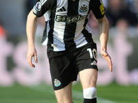 Anthony Gordon of Newcastle United participates in the Premier League match between Newcastle United and Brighton and Hove Albion at St. Jam...