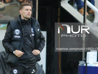 Brighton and Hove Albion Head Coach Fabian Hurzeler is present during the Premier League match between Newcastle United and Brighton and Hov...