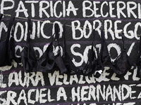 A clothesline of bras is placed at the Glorieta de las Mujeres que Luchan in Mexico City, Mexico, on October 19, 2024, by women who survive...