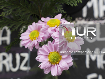 View of flowers on a clothesline of bras at the Glorieta de las Mujeres que Luchan in Mexico City, Mexico, on October 19, 2024, placed by wo...