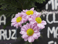 View of flowers on a clothesline of bras at the Glorieta de las Mujeres que Luchan in Mexico City, Mexico, on October 19, 2024, placed by wo...