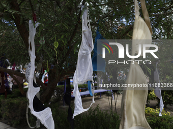 A clothesline of bras is placed at the Glorieta de las Mujeres que Luchan in Mexico City, Mexico, on October 19, 2024, by women who survive...