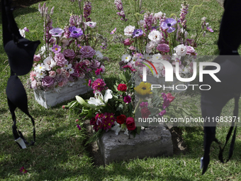 View of flowers on a clothesline of bras at the Glorieta de las Mujeres que Luchan in Mexico City, Mexico, on October 19, 2024, placed by wo...