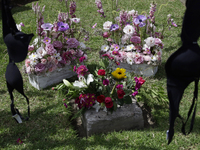 View of flowers on a clothesline of bras at the Glorieta de las Mujeres que Luchan in Mexico City, Mexico, on October 19, 2024, placed by wo...