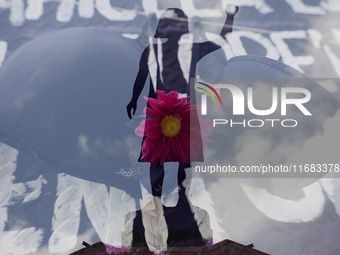 A view of an overlay of a clothesline of bras and a flower on the Glorieta de las Mujeres que Luchan in Mexico City, Mexico, on October 19,...