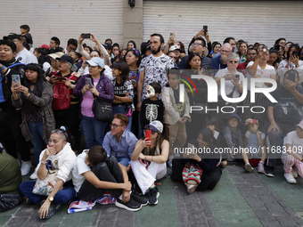 Dozens of people attend the alebrije parade in Mexico City, Mexico, on October 19, 2024, from the Zocalo to Paseo de la Reforma. (