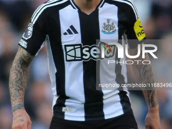 Sandro Tonali of Newcastle United participates in the Premier League match between Newcastle United and Brighton and Hove Albion at St. Jame...