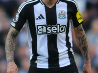 Sandro Tonali of Newcastle United participates in the Premier League match between Newcastle United and Brighton and Hove Albion at St. Jame...