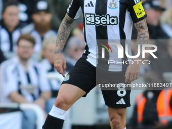 Sandro Tonali of Newcastle United participates in the Premier League match between Newcastle United and Brighton and Hove Albion at St. Jame...