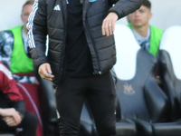 Newcastle United Manager Eddie Howe is present during the Premier League match between Newcastle United and Brighton and Hove Albion at St....