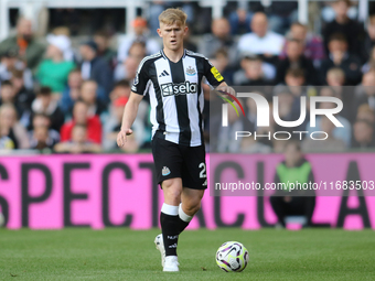 Lewis Hall of Newcastle United participates in the Premier League match between Newcastle United and Brighton and Hove Albion at St. James's...