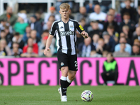 Lewis Hall of Newcastle United participates in the Premier League match between Newcastle United and Brighton and Hove Albion at St. James's...