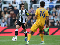 Sandro Tonali is under pressure during the Premier League match between Newcastle United and Brighton and Hove Albion at St. James's Park in...