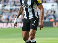 Joelinton of Newcastle United participates in the Premier League match between Newcastle United and Brighton and Hove Albion at St. James's...