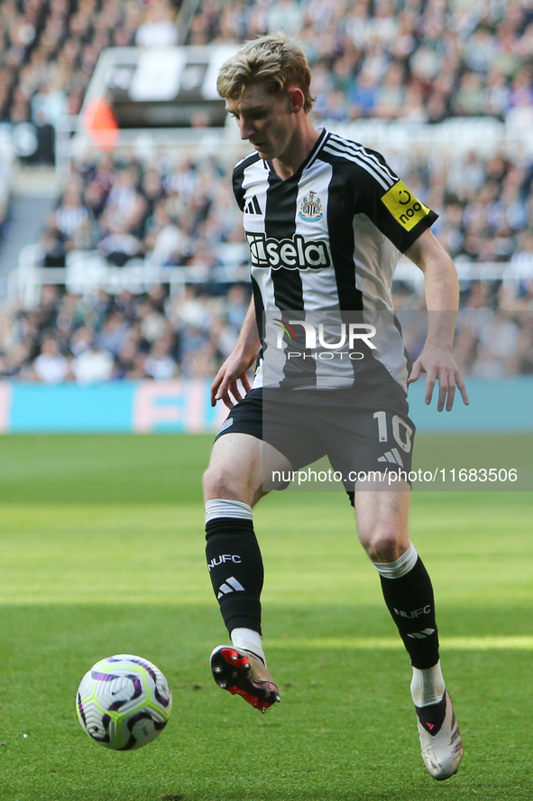 Anthony Gordon of Newcastle United participates in the Premier League match between Newcastle United and Brighton and Hove Albion at St. Jam...