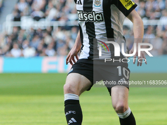 Anthony Gordon of Newcastle United participates in the Premier League match between Newcastle United and Brighton and Hove Albion at St. Jam...