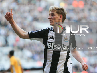 Newcastle United's Anthony Gordon gestures to the crowd during the Premier League match between Newcastle United and Brighton and Hove Albio...