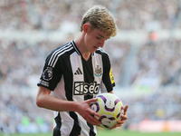 Anthony Gordon of Newcastle United looks at the football during the Premier League match between Newcastle United and Brighton and Hove Albi...